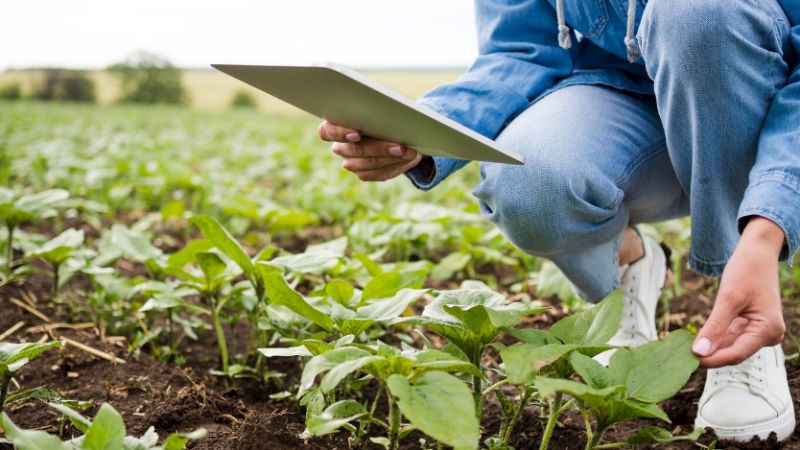 Agricultura de precisão transforma o campo com apoio da Agronomia e Consultoria Agrícola